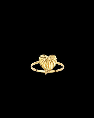 Bague cœur de palmier 10mm Bijoux or 18K - TRANSAC'OR