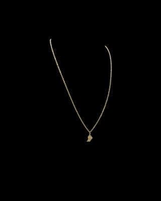 Collier torsadée 70cm carte Guyane Bijoux or 18K - TRANSAC'OR